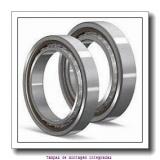 Backing ring K85516-90010        Montagem de rolamentos Timken AP